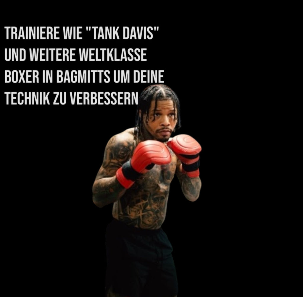 DRYTE - Boxing Bag Mitts